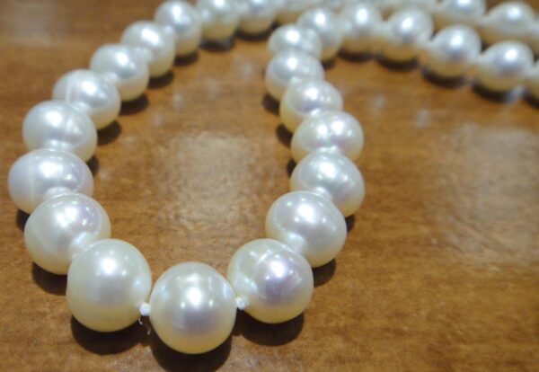 close up of pearl necklace