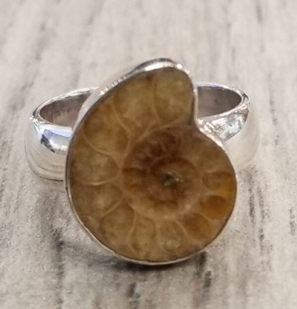 ammonite fossil ring, size 7
