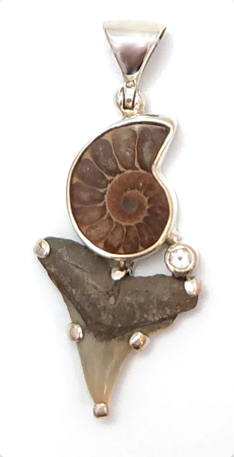 Ammonite fossil, fossil shark tooth with white topaz, sterling silver pendant