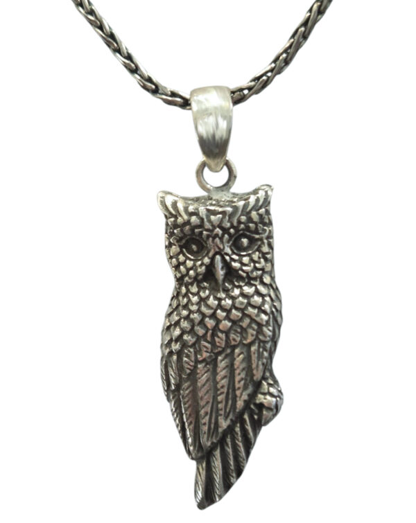 large sterling silver owl necklace by Anna King Jewelry