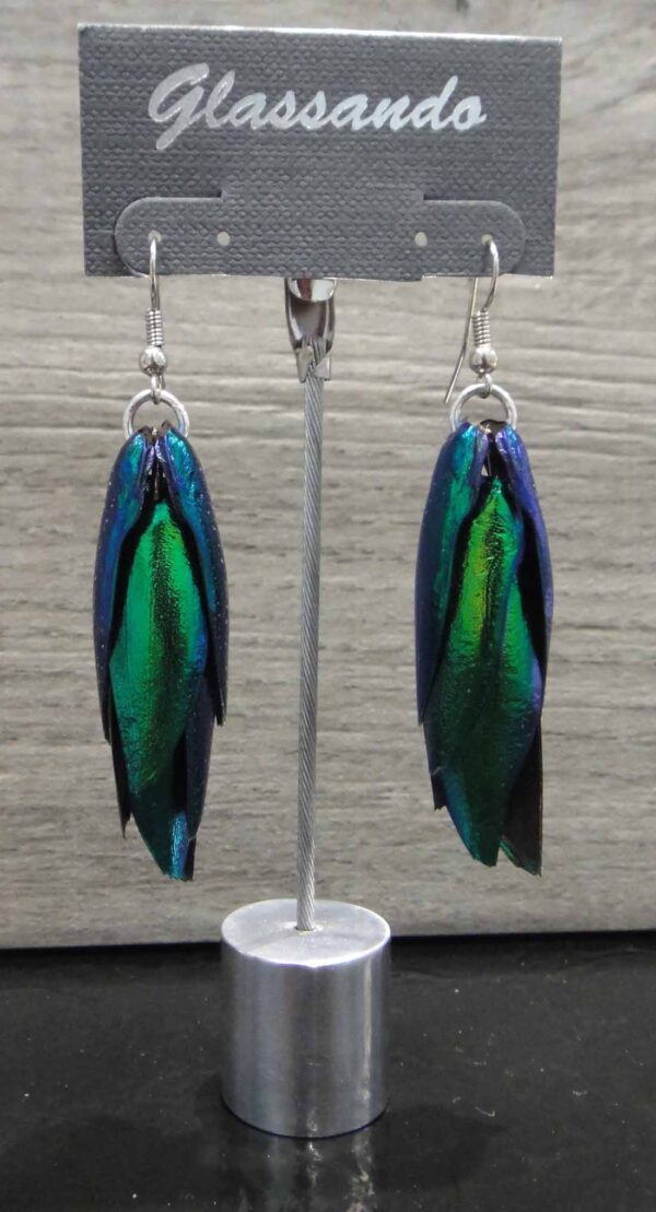 Naturally Expired Real Emerald Beetle Wing and surgical steel earrings