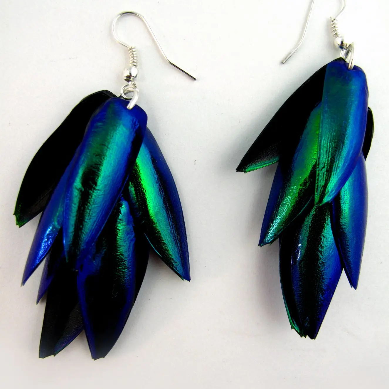 beetle wing earrings