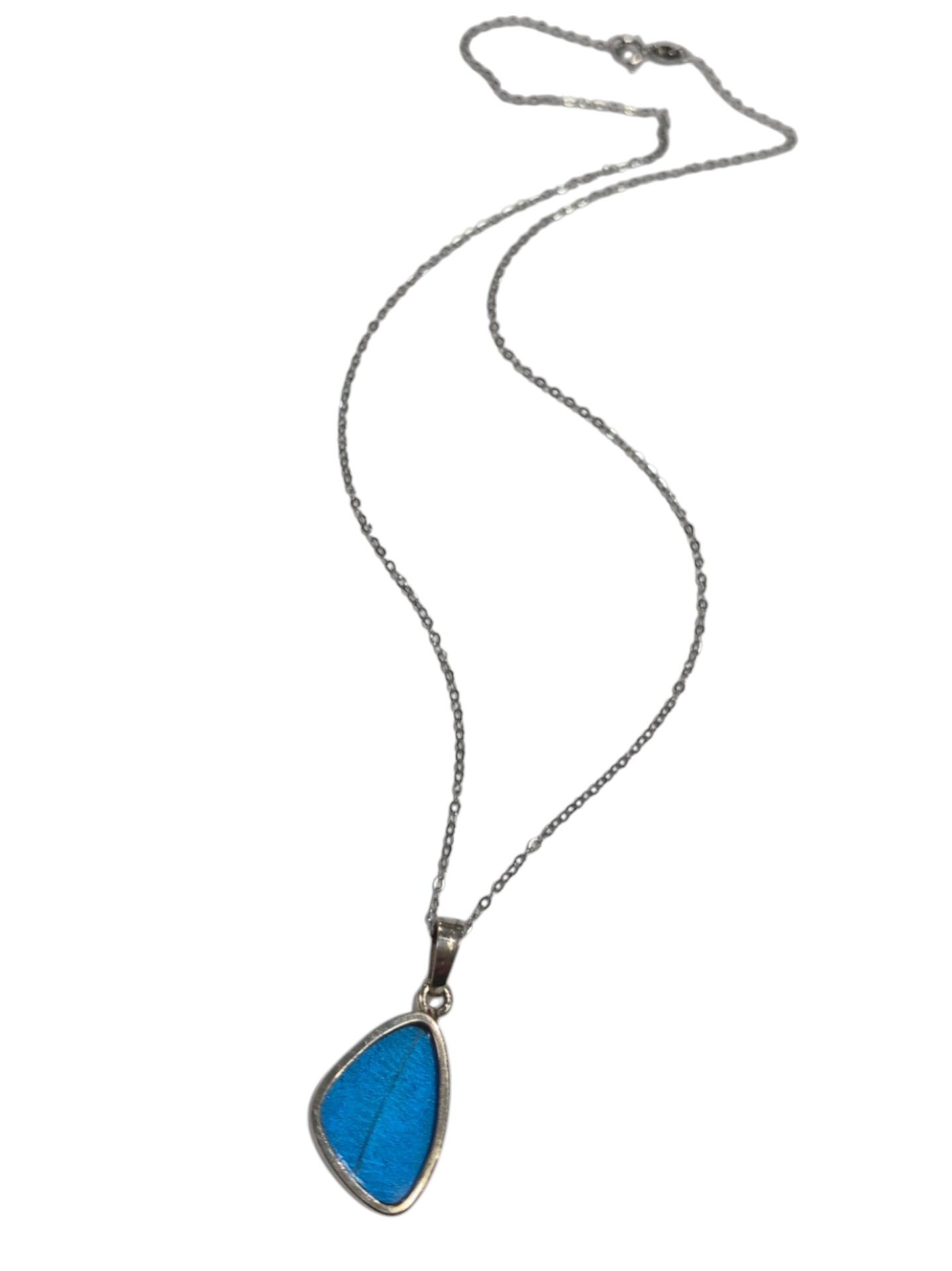 Blue Morpho Real Butterfly Wing necklace, no butterflies are harmed