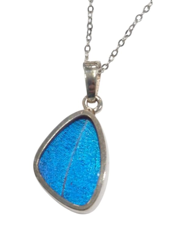 Blue Morpho Real Butterfly Wing necklace, no butterflies are harmed