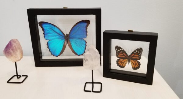 Decor - Gemstone, Art glass, and Preserved Butterfly Decor