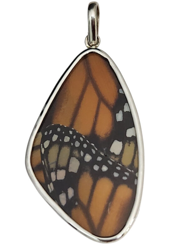 preserved monarch butterfly wing jewelry