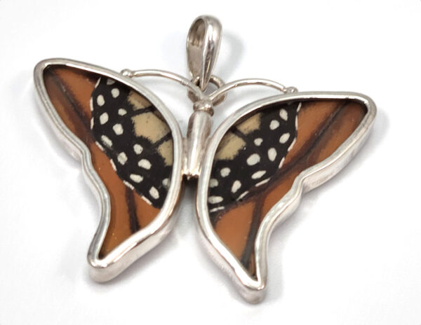 monarch butterfly wings under resin in sterling silver pendant (no butterflies are harmed)