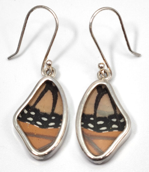 monarch butterfly earrings