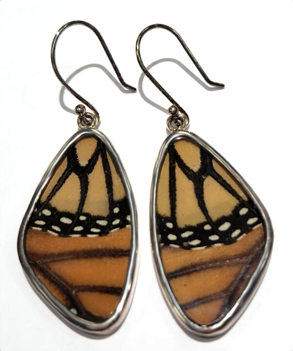 Real Monarch Butterfly Wings under resin earrings - no butterflies are harmed