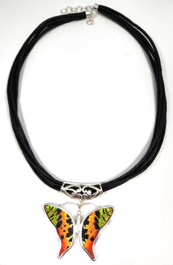 Naturally Expired real butterfly wing necklace - no butterflies are harmed