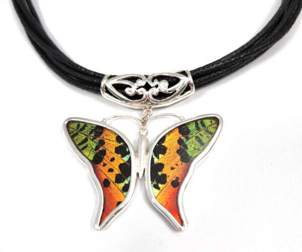 Multicolor Butterfly necklace made with naturally expired real butterfly wings -no butterflies are harmed