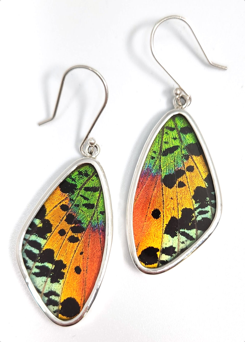 Multicolor Naturally Expired Real Butterfly Wing earrings