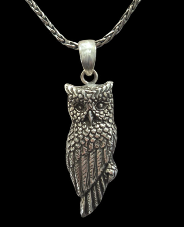 large sterling silver owl necklace with handwoven chain