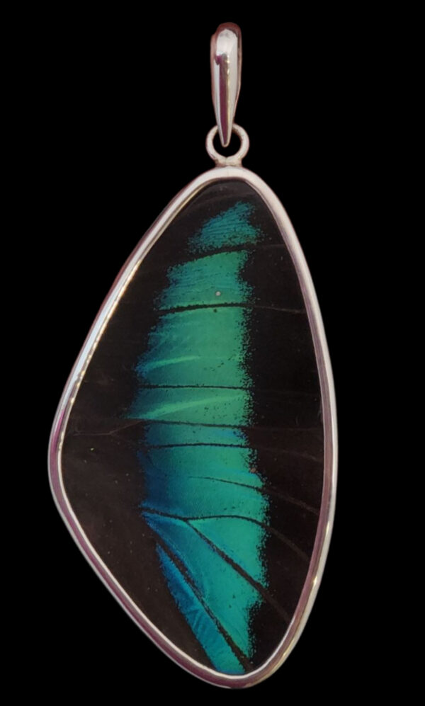 teal and black preserved real butterfly wing pendant