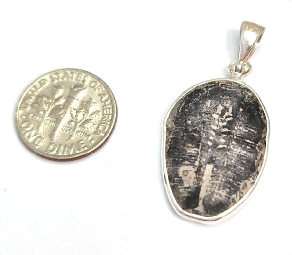 backside of trilobite fossil pendant with dime for size comparison