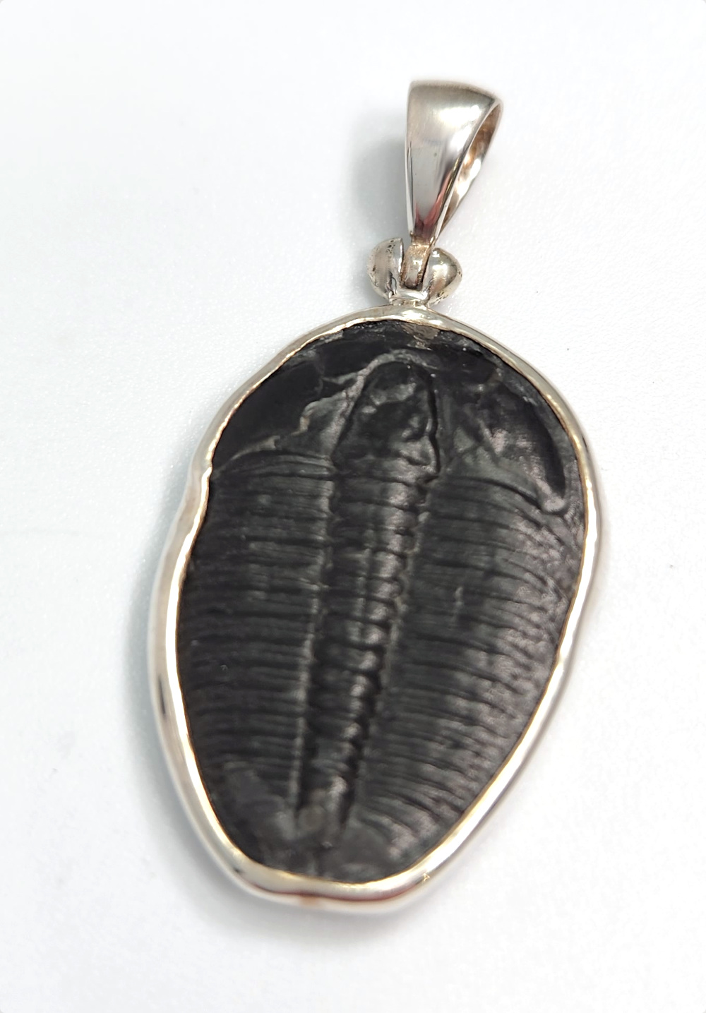 trilobite fossil and sterling silver pendant by Starborn Creations