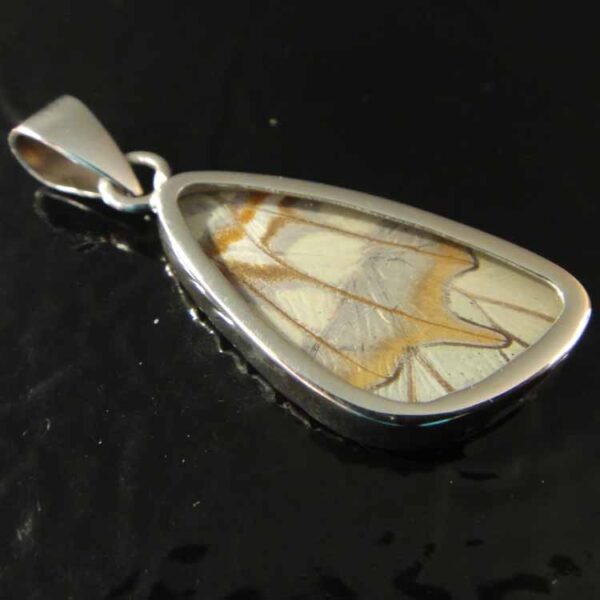 Butterfly, Moth, and Insect wing Jewelry - no bugs are harmed